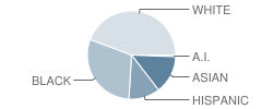 N.e. Metro Area Learning Center (Alc) East School Student Race Distribution