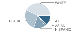 N.e.metro Area Learning Center (Alc) West School Student Race Distribution