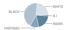 Evergreen Park Elementary School Student Race Distribution