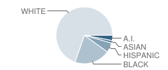 Crossroads Alternative High School Student Race Distribution