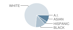 Olson Middle School Student Race Distribution