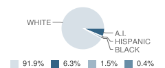 Forest Lake Elementary School Student Race Distribution