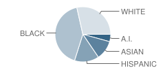 Loring Elementary School Student Race Distribution