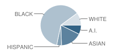 Sheridan Elementary School Student Race Distribution