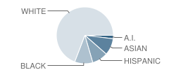 Westwood Middle School Student Race Distribution