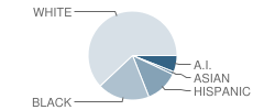 Area Learning Center (Alc) Creative Arts School Student Race Distribution