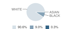 Monroe City R-I High School Student Race Distribution
