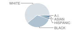 South County Technical School Student Race Distribution