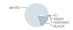 External Sites School Student Race Distribution