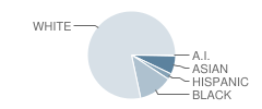 Crestview Middle School Student Race Distribution