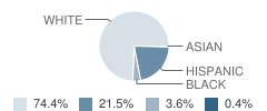 Senath-Hornersville Sr. High School Student Race Distribution
