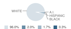 Winfield Middle School Student Race Distribution