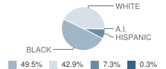 H. W. Byers Elementary (K-6) School Student Race Distribution