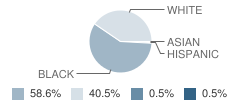 Lipsey School Student Race Distribution