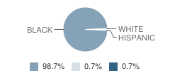 Hunter Middle School Student Race Distribution