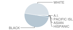 Northeast Middle School Student Race Distribution