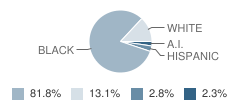 South Leake Elementary School Student Race Distribution