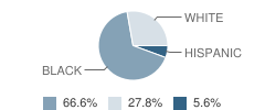 H. W. Byers High School (7-12) Student Race Distribution