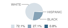 Nettleton Middle School Student Race Distribution