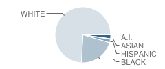 Newton County Elementary School Student Race Distribution