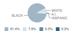 N H Pilate Middle School Student Race Distribution