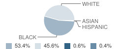 Winona Secondary School Student Race Distribution