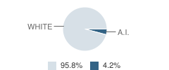 Garrison School Student Race Distribution