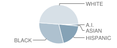 Early College of Forsyth County School Student Race Distribution