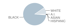 Bertie High School Student Race Distribution