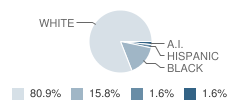 Bolivia Elementary School Student Race Distribution