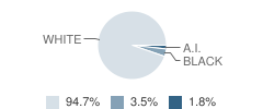 Howells High School (Junior / Senior) Student Race Distribution