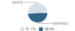 Platte Center Elementary School Student Race Distribution