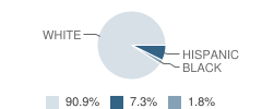 Logan View High School (Junior / Senior) Student Race Distribution