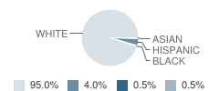 Sandy Creek High School (Junior / Senior) Student Race Distribution