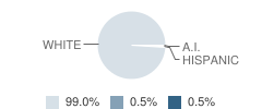 Elmwood-Murdock High School (Junior / Senior) Student Race Distribution