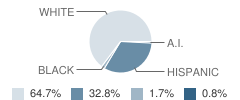 Harvard High School Student Race Distribution