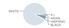 Holdrege High School Student Race Distribution