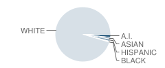 Malcolm High School (Junior / Senior) Student Race Distribution