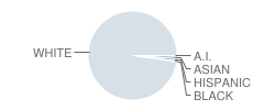Pierce High School (Junior / Senior) Student Race Distribution