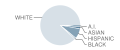 Sidney Middle School Student Race Distribution