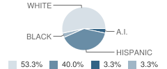The Phoenix Program (H) School Student Race Distribution