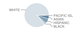 Lin-Wood Public School (High) Student Race Distribution