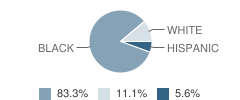 Southern Residential Group Center (Rgc) School Student Race Distribution