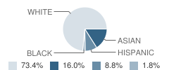 Bedminster Township (Twp) School Student Race Distribution