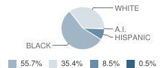 Beverly School Student Race Distribution