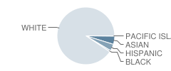 Rockaway Valley School Student Race Distribution