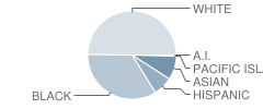 Burlington Township (Twp) High School Student Race Distribution