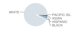 Byram Township (Twp) Intermediate School Student Race Distribution