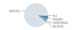 South End School Student Race Distribution
