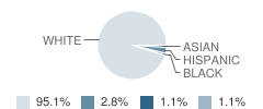 Delaware Township (Twp) No 1 School Student Race Distribution
